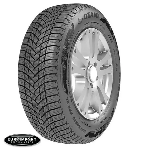 Otani WE1000  195/65 R15 91 H  